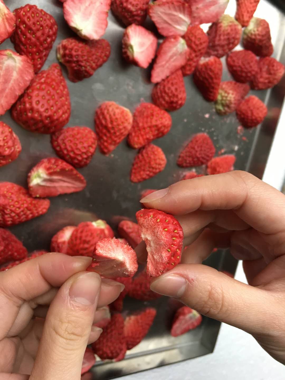 广州草莓555000公海手机版